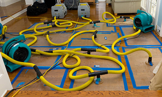Professional Crawl Space Water Removal technician working in Zebulon, GA